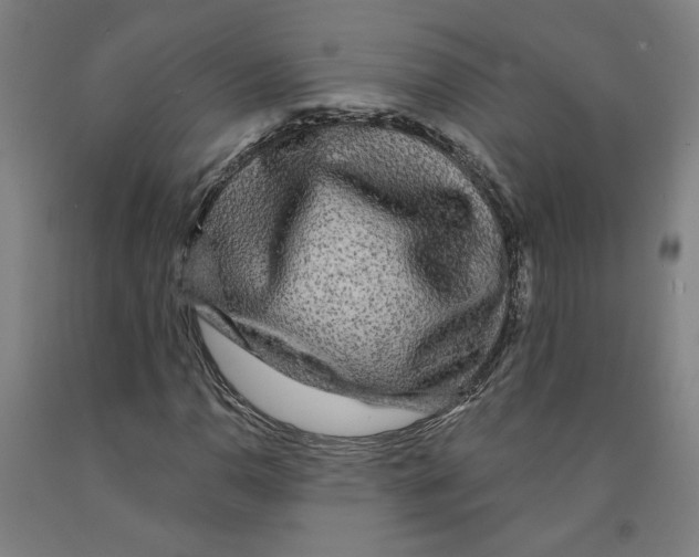 X0000091951110200709271320