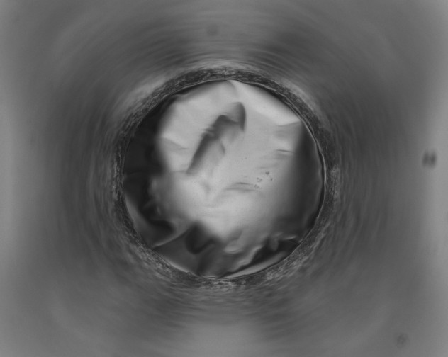 X0000091951111200709271320