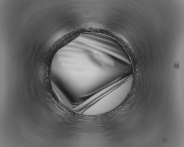 X0000091951112200709271320