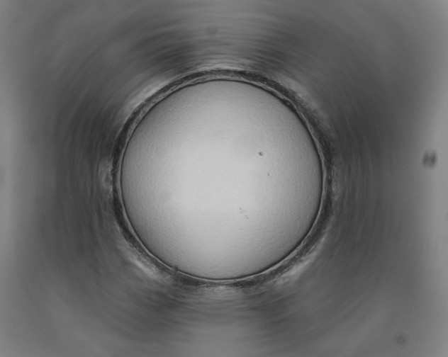 X0000091951113200709271320