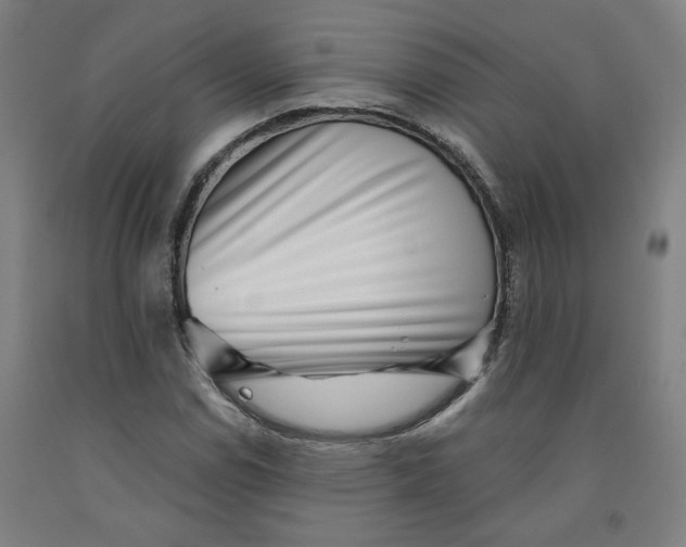 X0000091951114200709271320