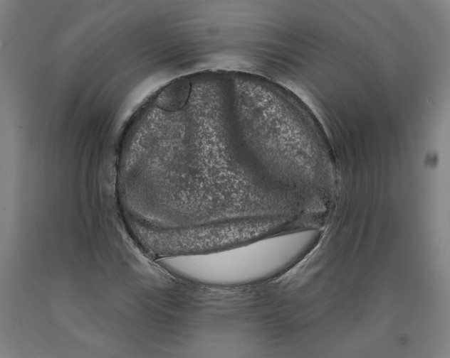 X0000091951115200709271320