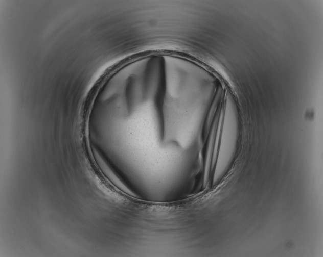 X0000091951116200709271320