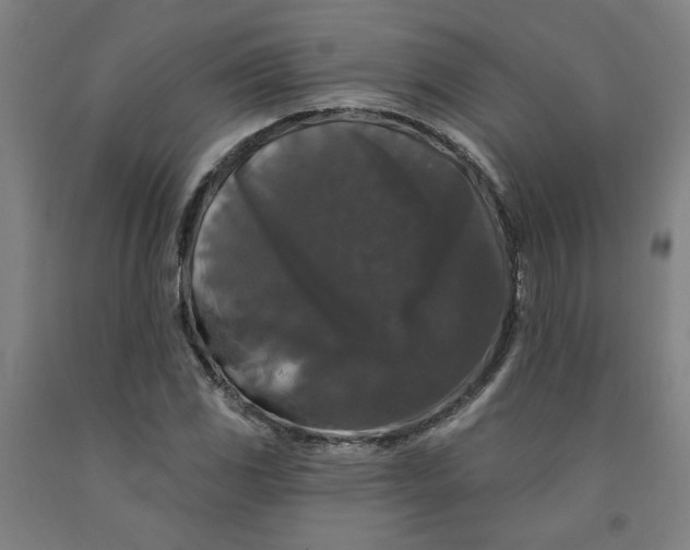 X0000091951117200709271320