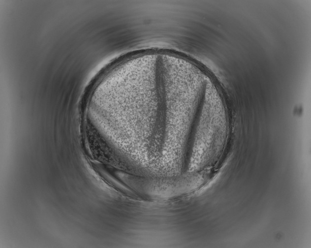 X0000091951118200709271320