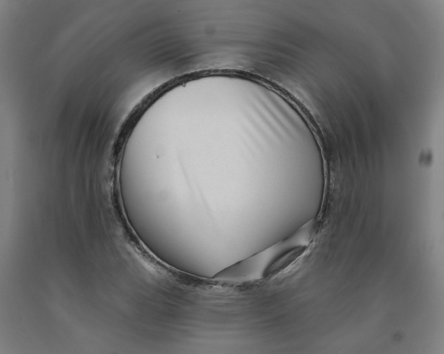 X0000091951119200709271320