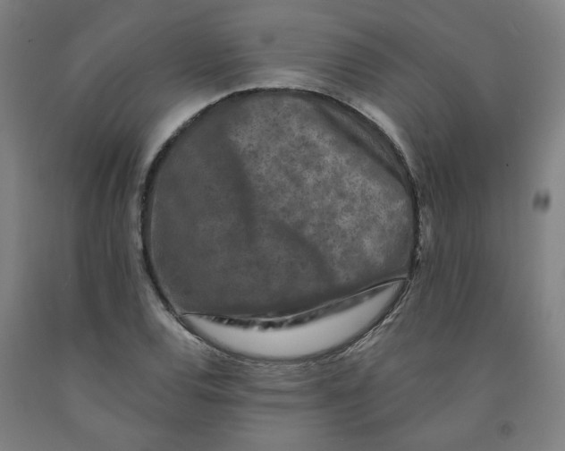 X0000091951120200709271320