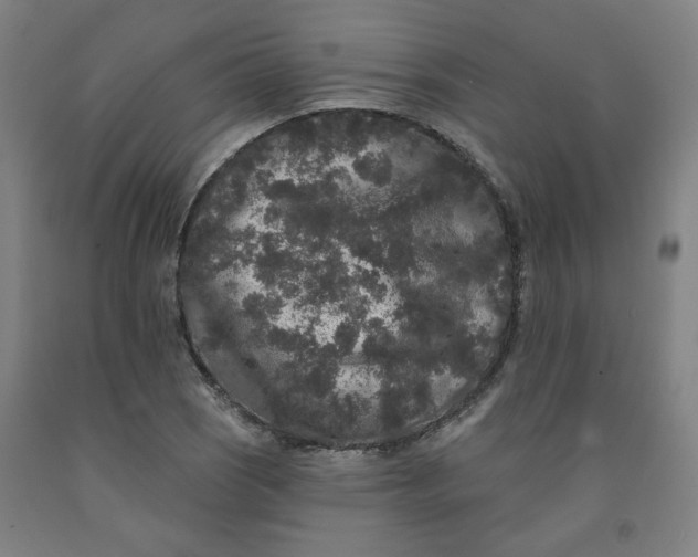 X0000091951121200709271320