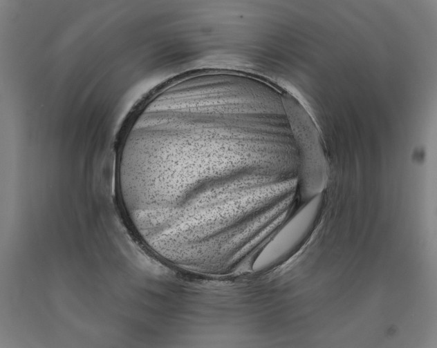 X0000091951123200709271320