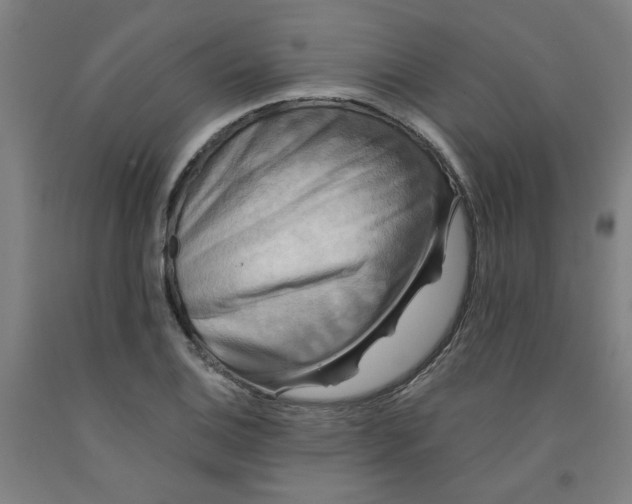 X0000091951124200709271320