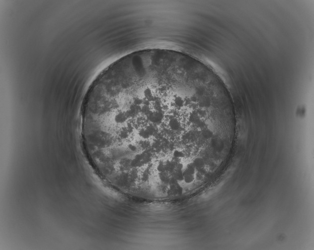 X0000091951125200709271320