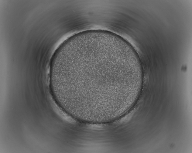 X0000091951126200709271320