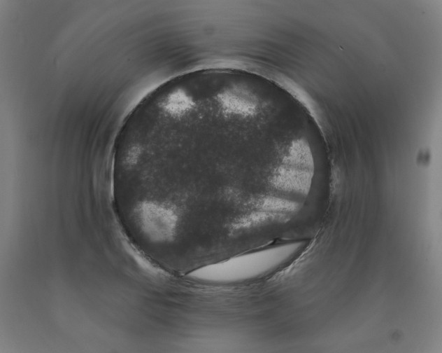 X0000091951127200709271320