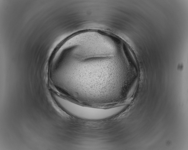 X0000091951128200709271320