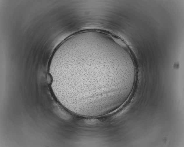 X0000091951129200709271320