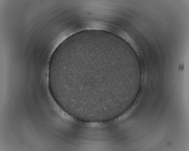 X0000091951130200709271320