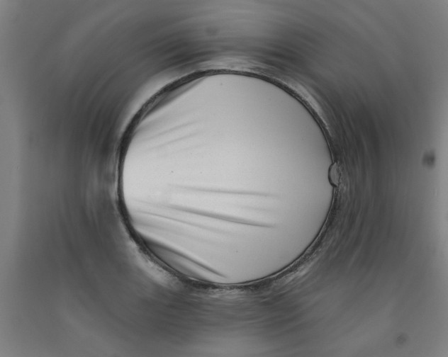 X0000091951131200709271320