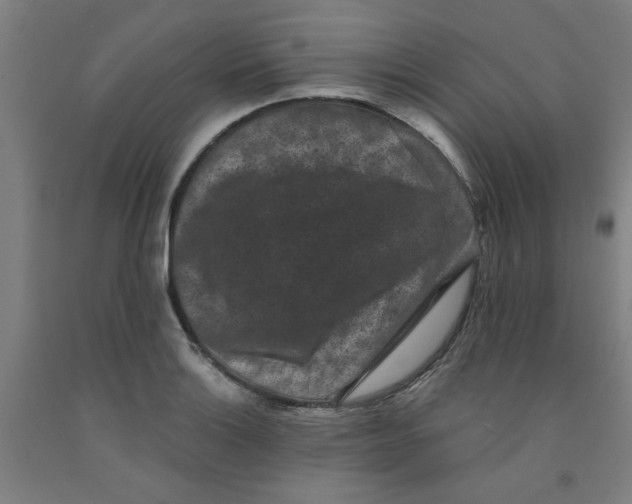 X0000091951132200709271320