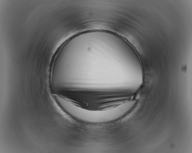 X0000091951134200709271321