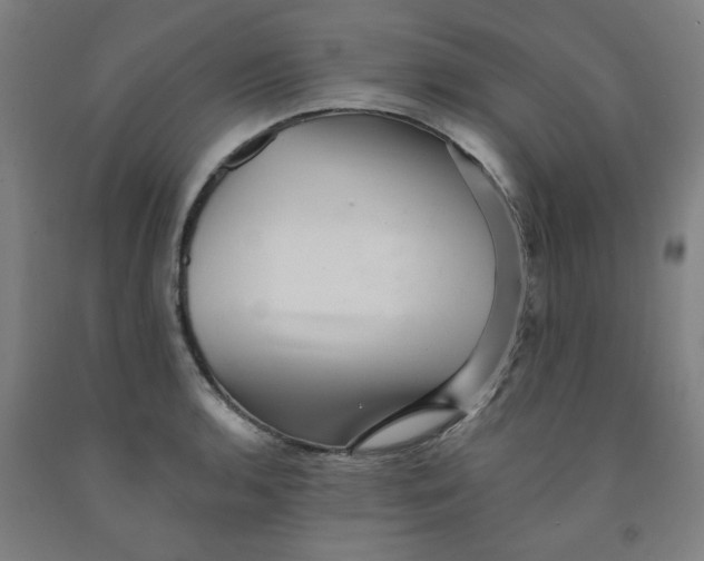 X0000091951136200709271321