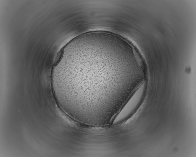 X0000091951137200709271321