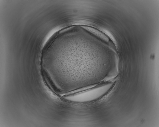 X0000091951138200709271321