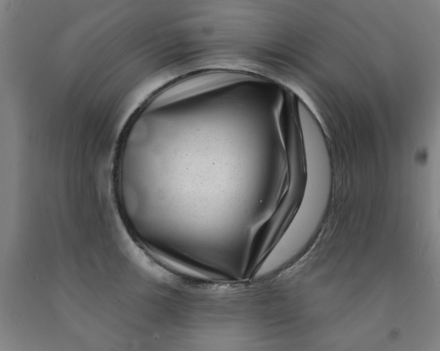 X0000091951139200709271321