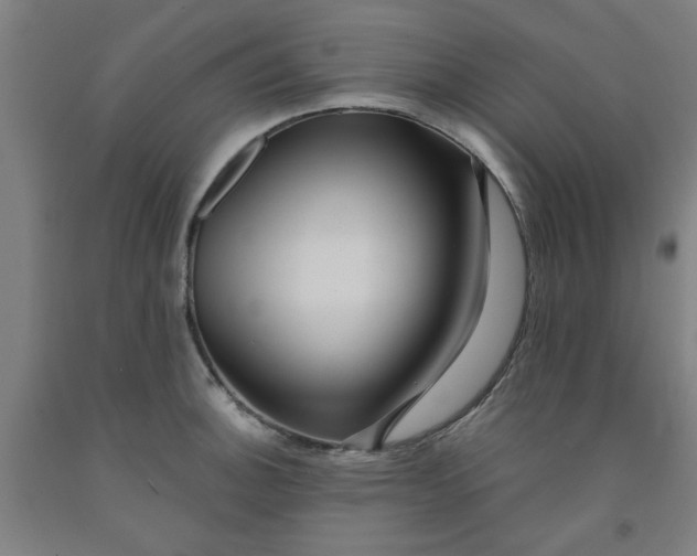 X0000091951140200709271321