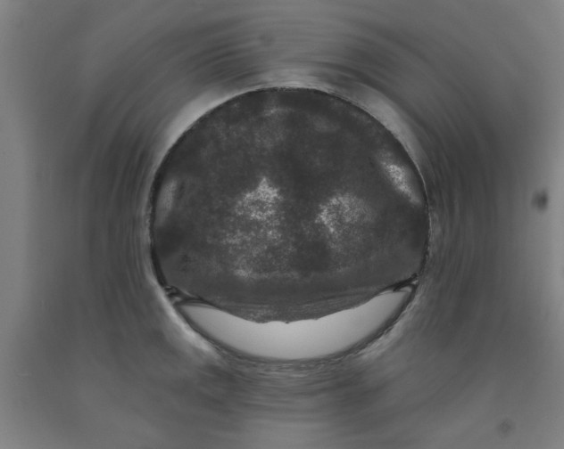 X0000091951141200709271321