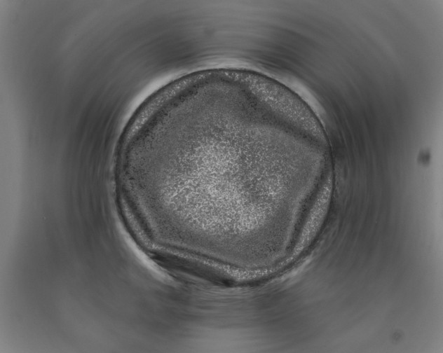 X0000091951142200709271321