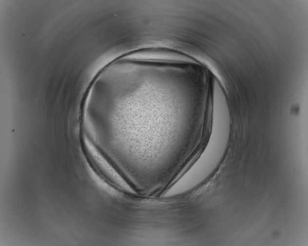 X0000091951143200709271321