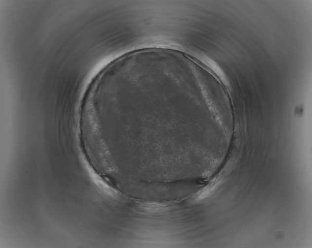 X0000091951144200709271321