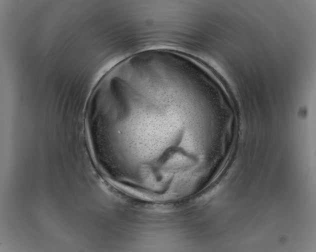 X0000091951145200709271321