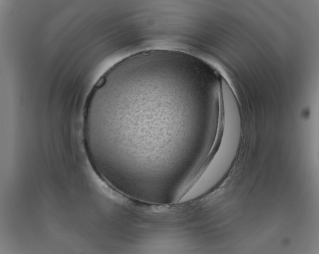 X0000091951147200709271321