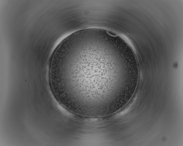 X0000091951149200709271321