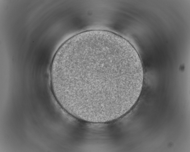 X0000091951150200709271321