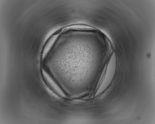 X0000091951151200709271321