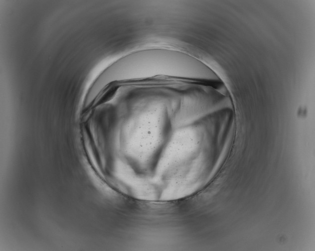 X0000091951152200709271321