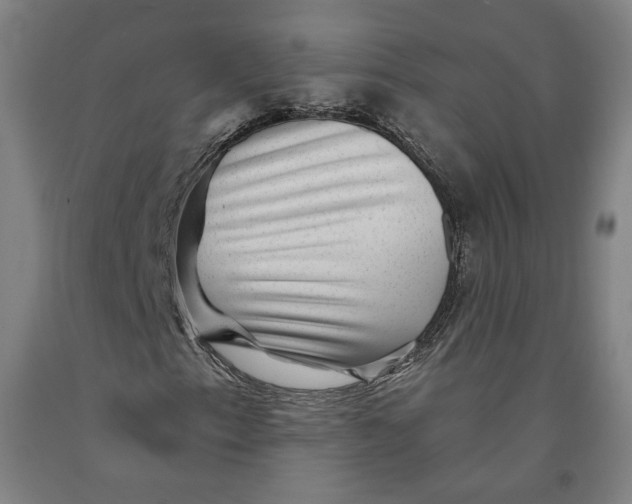 X0000091951153200709271320