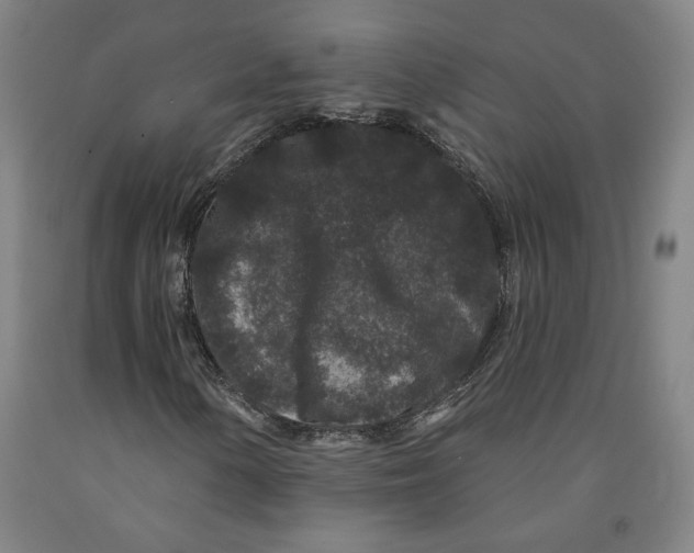 X0000091951154200709271320