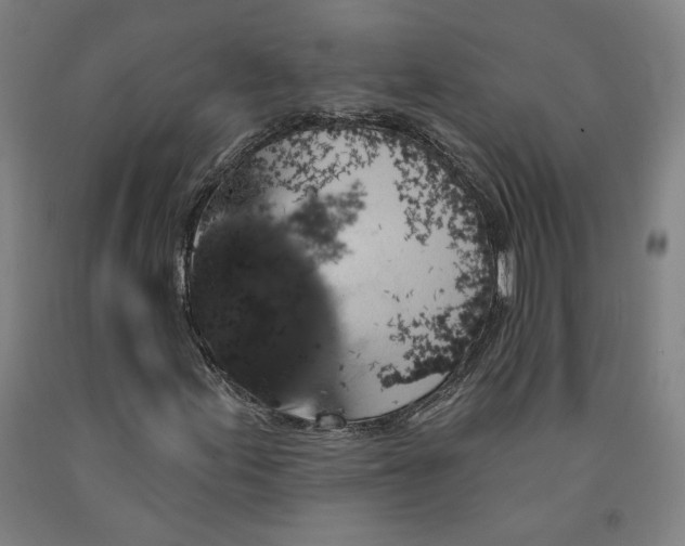 X0000091951155200709271320