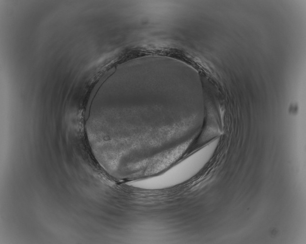 X0000091951156200709271320