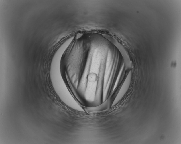 X0000091951157200709271320