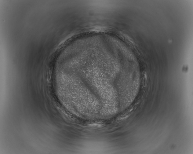 X0000091951158200709271320