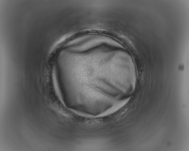 X0000091951159200709271320