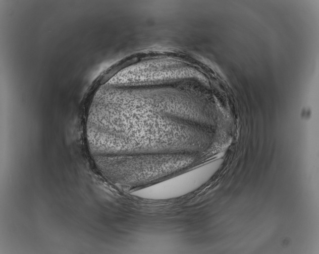 X0000091951160200709271320