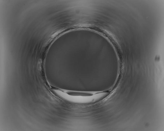 X0000091951161200709271320