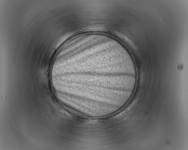 X0000091951162200709271320