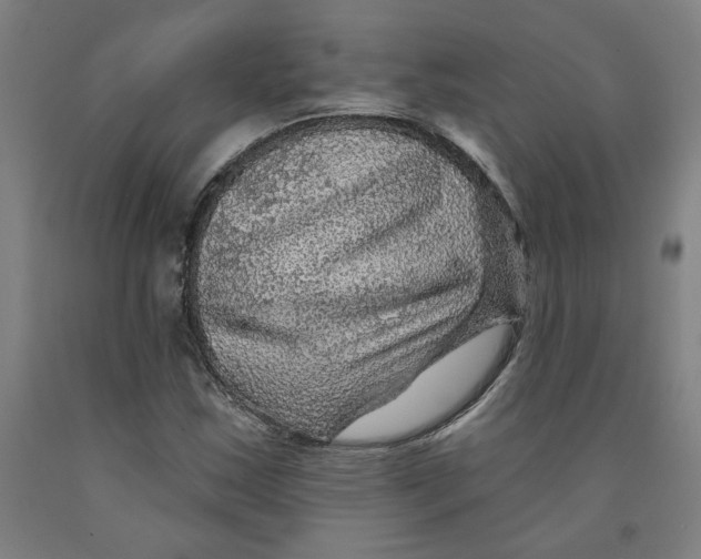 X0000091951163200709271320