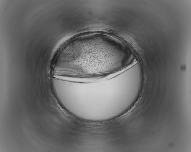 X0000091951164200709271320